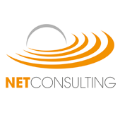 Net Consulting