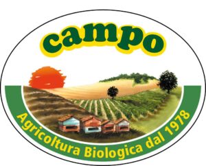 logo campo big