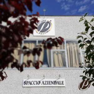 pazzini2