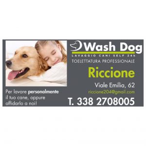 wash