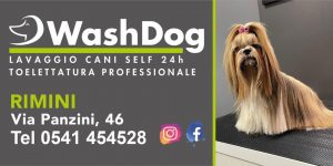 wash rimini